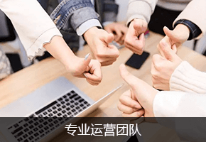 大数据分析及营销服务