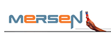 Ferraz Shawmut的LOGO